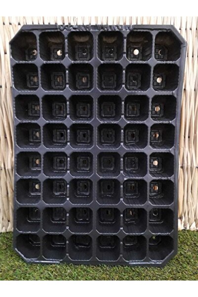 Ekodoğa 48 Gözlü Fide Viyolü 25 Adet Fidan Viyolleri Tohum Çimlendirme Kabı F...