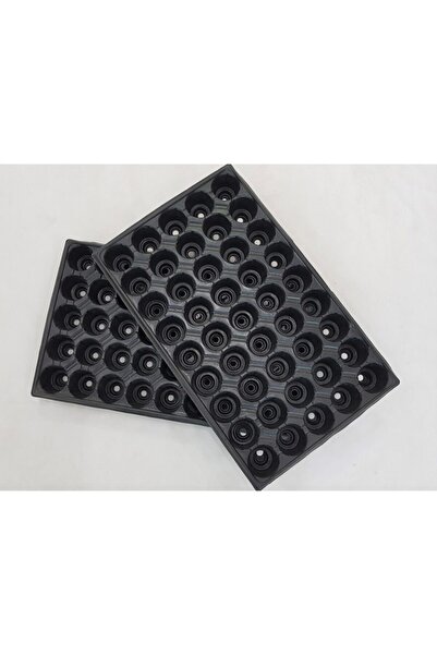 Ekodoğa 45 Gözlü Fide Viyolleri Fidan Viyolü 5 Adet