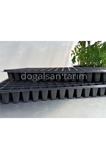 Doğalsan Tarım Fide Viyolü 128 Göz 5 Adet Fide Viyol Fide Viyolleri Fide Yeti...