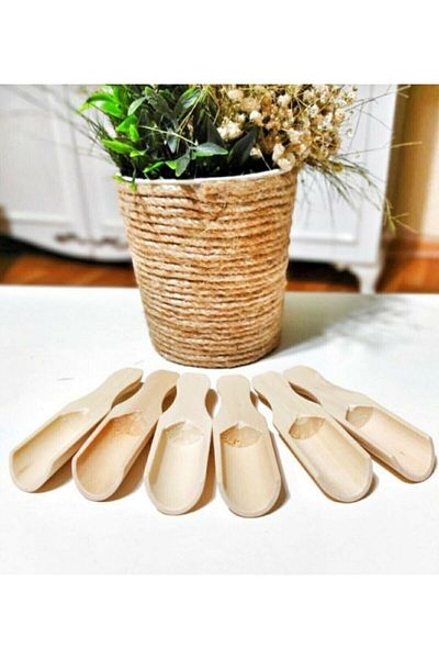 FBZhome 6 Pieces Mini Shovel Spice Spoon