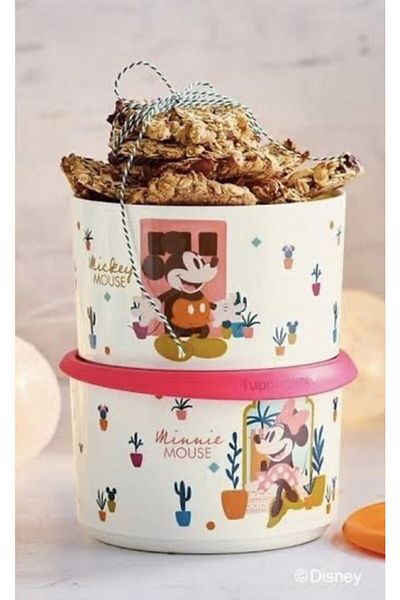 Tupperware Mickey And Friends Single Finger 2-Piece Storage Container