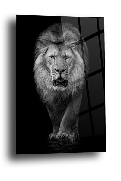 Genel Markalar Siyah Beyaz Aslan Cam Tablo