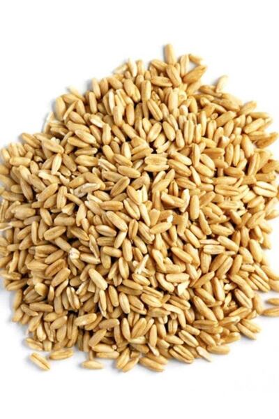 Genel Markalar Kuşlar İçin Soyulmuş Yulaf 1 kg