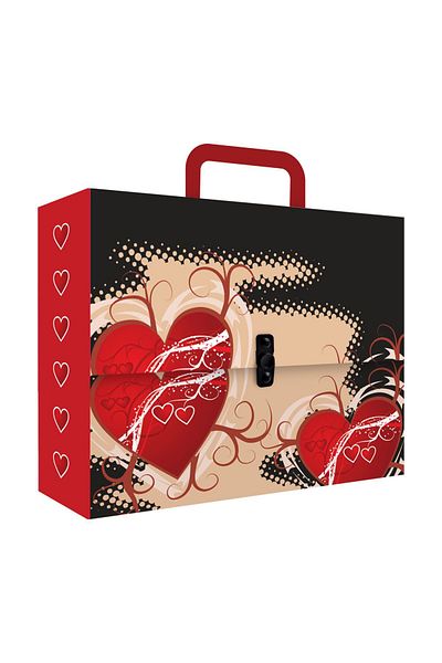 Noki Noki Patterned - Box Folder with Handle