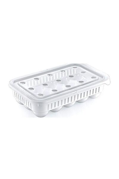 Aydo Egg Organizer 15pcs, Sterile Egg Storage Container, Bpa Free, Organizer