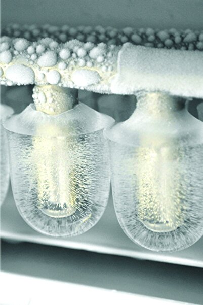 Kiwi kim 4791 Buz Yapma Makinesi 12kğ