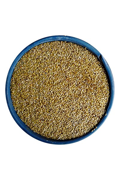 Bizim Yem Aspur Sade Kanarya Yemi - 5 Kg