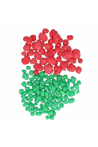 Nerds Watermelon & Wild Cherry - 46,7g Shoes