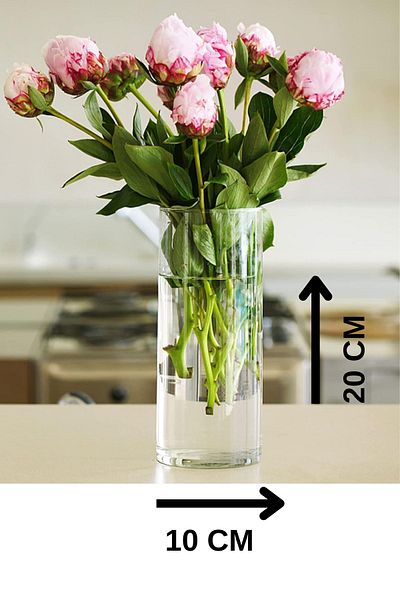 Paşabahçe 6 Pieces Medium Glass Vase - 20cm
