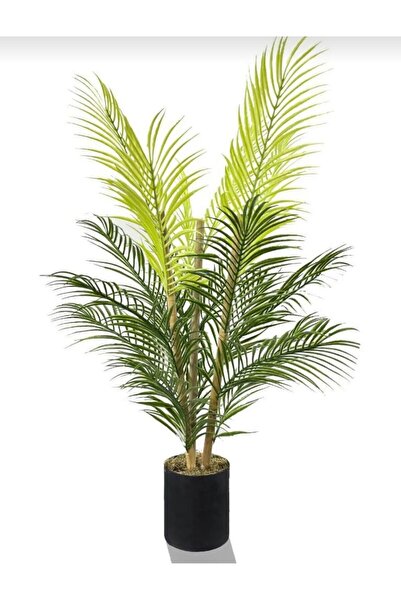 RUZGARCİCEK Rüzgar Yapay Çiçekçilik 12x12 siyah Saksıda 90 cm Cikas Ağacı