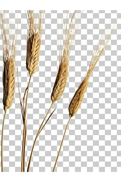 KAPPADOKİA Katkısız Atalık Siyez Unu 1 Kg