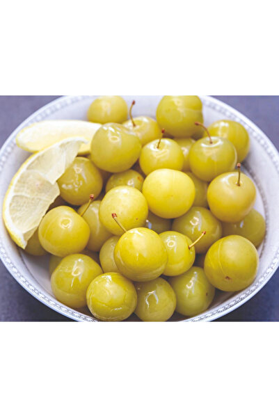 Gelinler Dağı Ev Yapımı Natural Erik Turşusu 900 gr