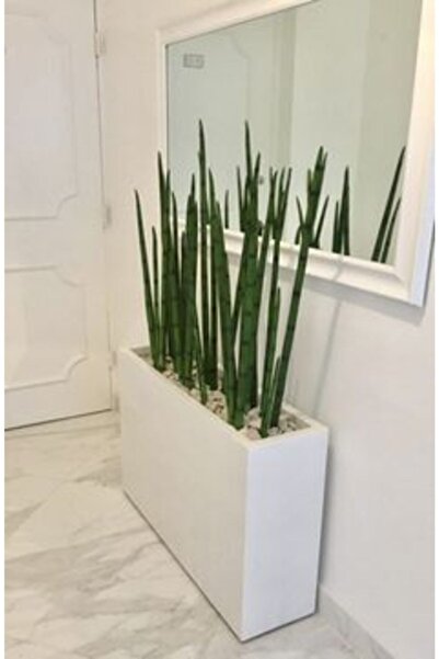 SAKSI ADASI Dikdörtgen Fiber Saksı 30x100x70