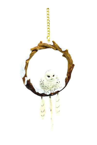 Tüterler Snowy Owl Wall Door Figurine | Wall Ornaments | Ornament Swinging an...