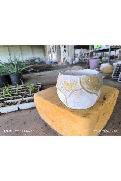 Genel Markalar Yaprak desenli Beton orkide aranjman ve bonsai saksısı