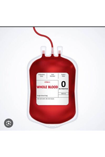 can medikal Flebotomi kan alma torbası 450ml 1 adet