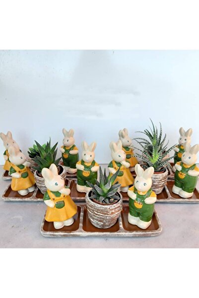 Atölye Dekupaj Tavşan Tabanlıklı Saksı Set