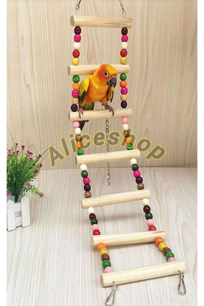 aliceshop Sultan Sevda Parrot of Paradise - Wooden Ladder in Lovebird and Sizes