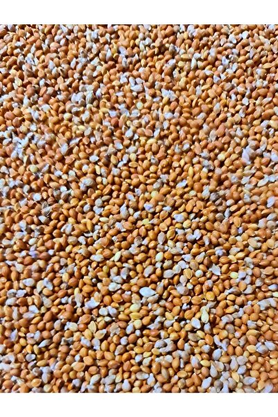 Ankara Yem Evi Organik Elenmiş Kızıl Dal Darı 250 gr