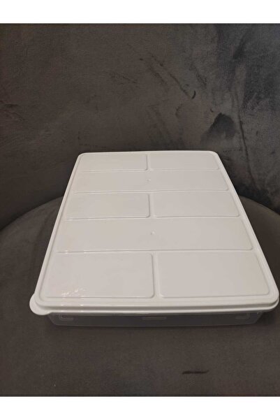 Global Ersat 8 Liter Large Size Colorful Refrigerator Organizer Storage Conta...