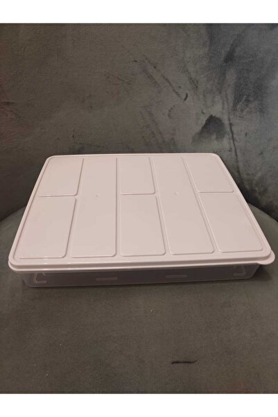 Global Ersat 8 Liter Large Size Colorful Refrigerator Organizer Storage Conta...