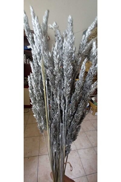 kutmen شرابة فضية مذهبة فرع فرع زهرة جافة 30 فرع