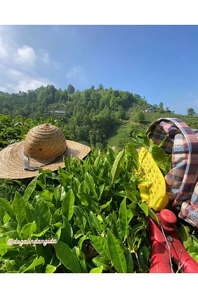 doğalından Black Tea 500 Gr First Harvest