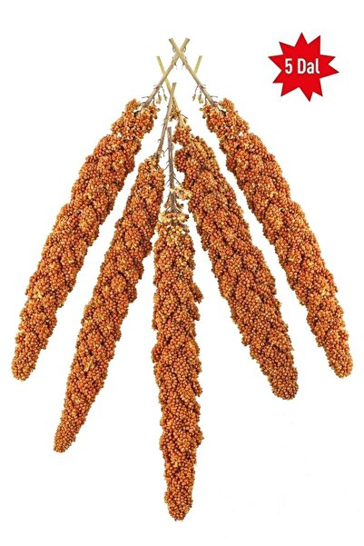 Genel Markalar Kızıl Dal Darı - Tüm Kafes Kuşları Için Darı - Kuş Yemi - Yavru Kuşların Tüketimi Uygundur