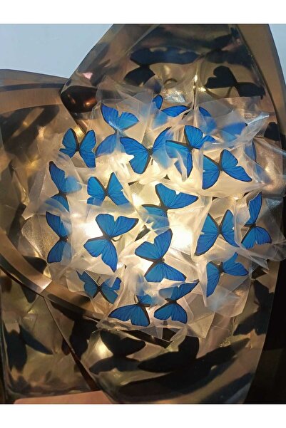 Redblue mavi kelebek buketi