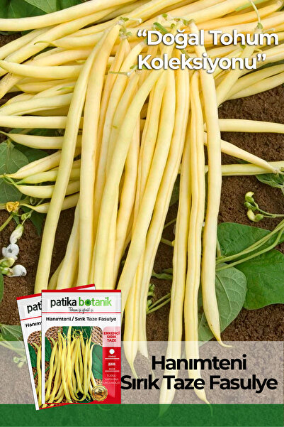 Patika Botanik 50 Adet Hanımteni (turşuluk) Sırık Fasülye Tohumu