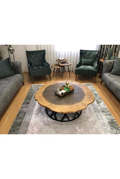 alindi Doğal Ahşap Küp Kaktüs Saksısı ve Kaktüs Renkli 4 lü Kombin