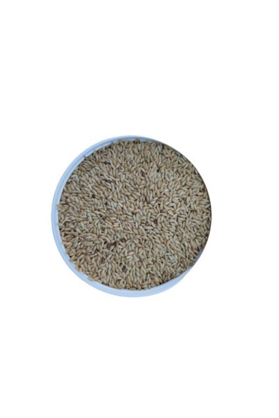 Malatya Sade Kanarya Yemi-aspur-20kg