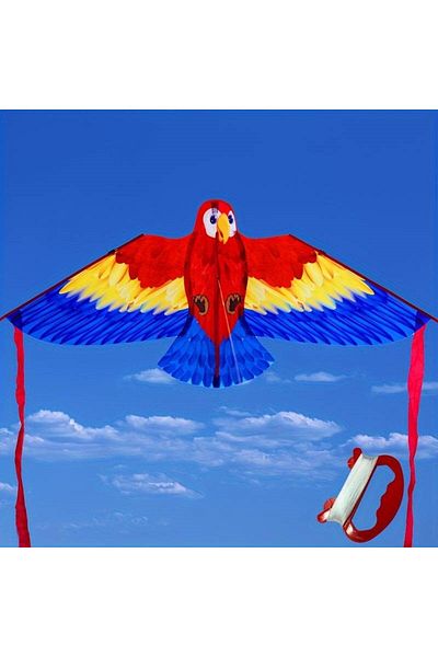 Aslan Parrot Kites, Cartoon Kites Easy Fly for Outdoor Activities