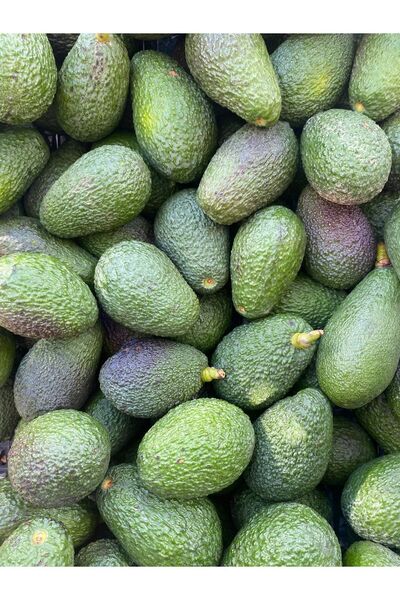 KILINÇ TROPİKAL 1 Kg Avokado Has
