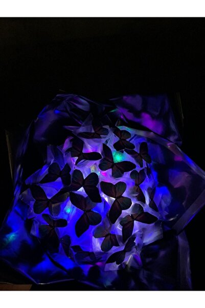 Redblue MAVİ-MOR KELEBEK BUKETİ