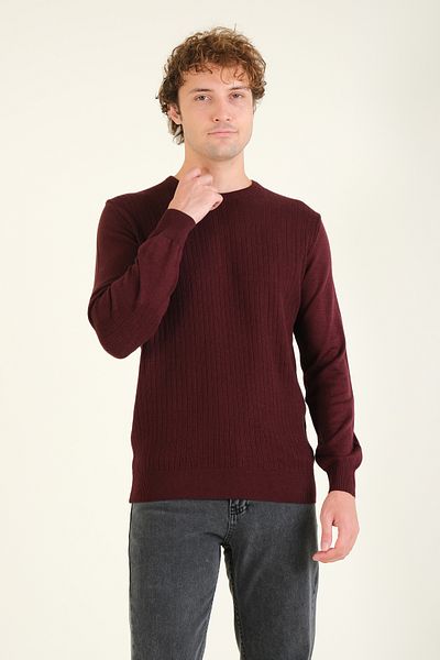 Giyim Dünyası Claret Red Men's Patterned Crew Neck Sweater