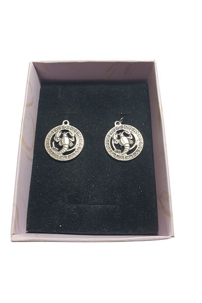 Ororabutik 25mm Scorpio Figured Necklace and Earring Set
