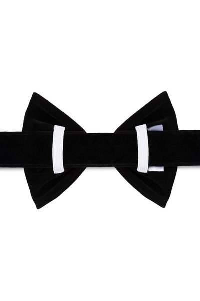 LUSİ-DOOG Purple and Black Velvet Dog Bow Tie Set of 2 - Bow Tie Only, Leash Not Included