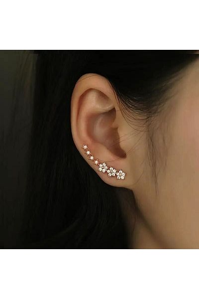 passion silver Elegant Fashion Single Row Flower and Star Earrings Women