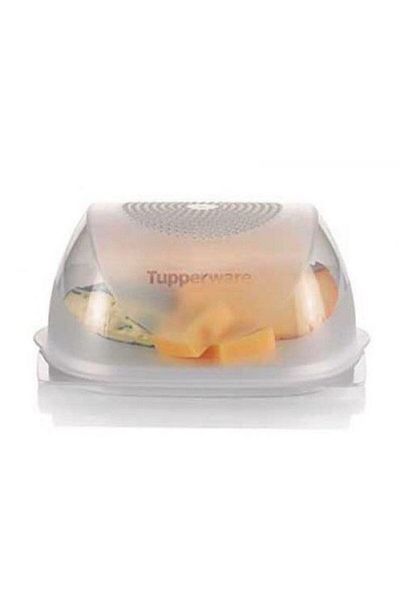 Tupperware Medium Size Cheese World