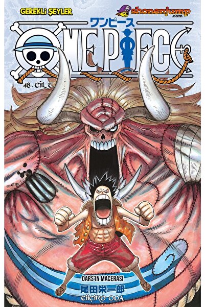 Gerekli Şeyler One Piece 48.cilt