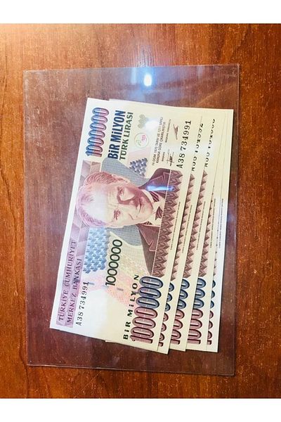 DS Koleksiyon Large Size L Type Transparent Paper Money - 215*145 Mm, Pack of 50