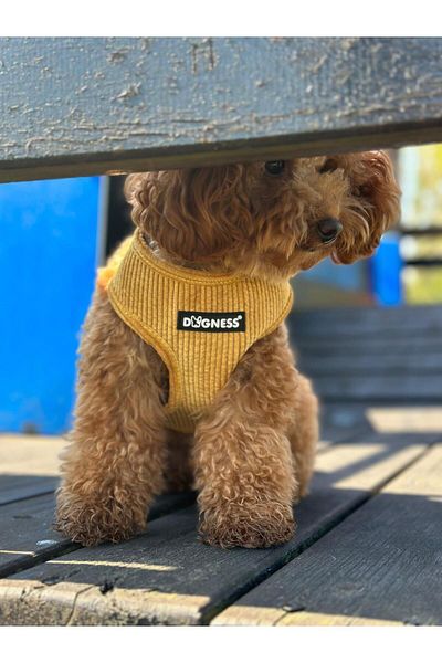 Dogness Mustard Velvet Chest Collar