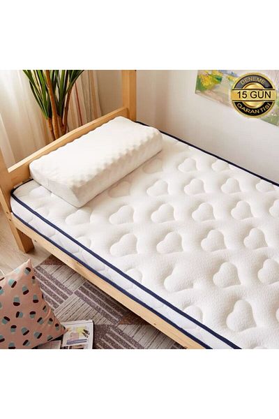 skysleep Full Orthopedic Bed Pad and Mattress (Be Careful of the Size)