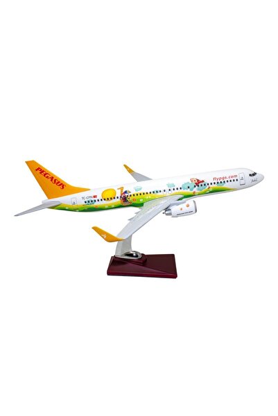 Beforeflightshop Pegasus Ada E  Boeing 737-800