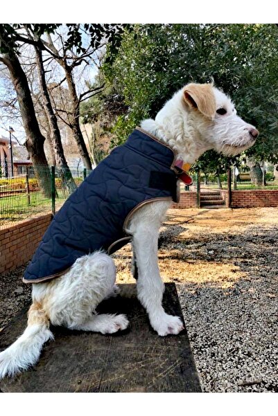 PAKİTO Kürklü Mont