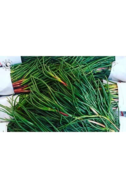 Gelinler Dağı Ev Yapımı Natural Deniz Fasulyesi Turşusu 780 G