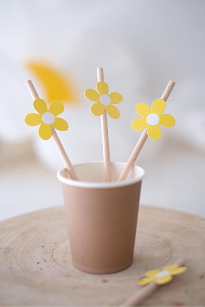 Partifabrik Papatya Temalı Pipet 8 Adet - Papatya Partisi Doğum Günü Süsü