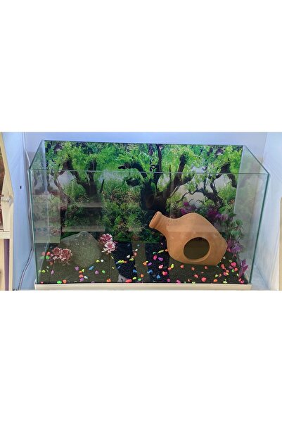 Fauna Pet Supplies 50cm Işıklı Akvaryum (KARIŞIK RENK) (AKSESUAR SETİ VE IÇ F...
