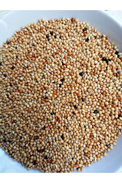 Mavi Pet Shop Muhabbet Kuşu Yemi Açık 2,5 Kg
